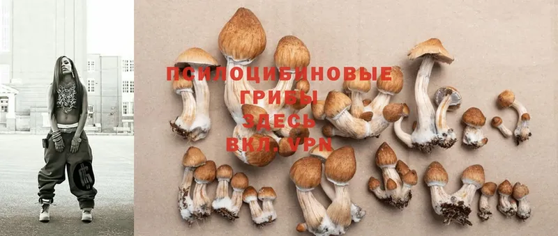 Галлюциногенные грибы MAGIC MUSHROOMS  Карасук 